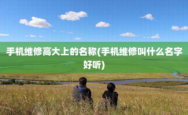 手机维修高大上的名称(手机维修叫什么名字好听)