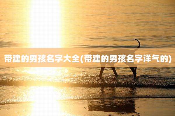 带建的男孩名字大全(带建的男孩名字洋气的)