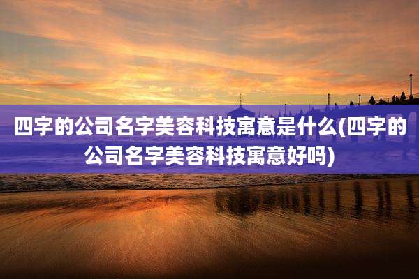 四字的公司名字美容科技寓意是什么(四字的公司名字美容科技寓意好吗)