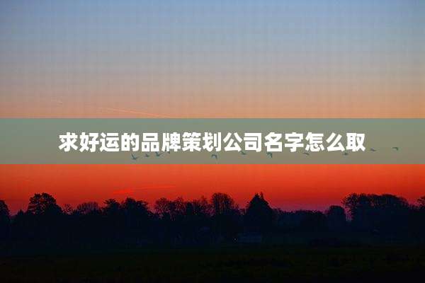 求好运的品牌策划公司名字怎么取