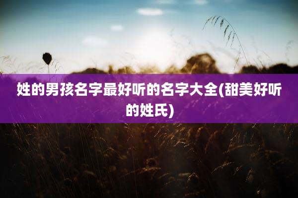 姓的男孩名字最好听的名字大全(甜美好听的姓氏)