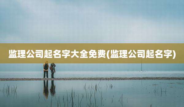 监理公司起名字大全免费(监理公司起名字)