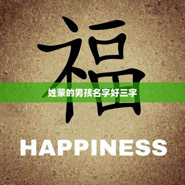 姓蒙的男孩名字好三字