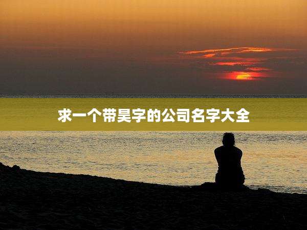求一个带昊字的公司名字大全