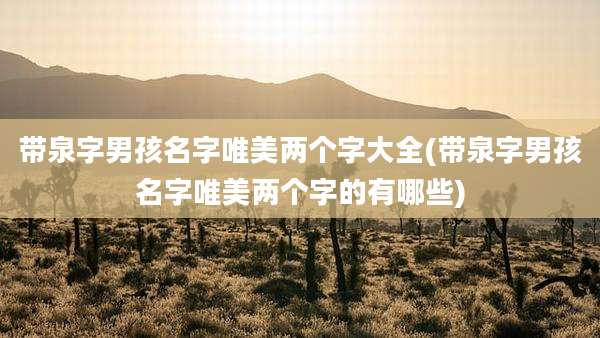 带泉字男孩名字唯美两个字大全(带泉字男孩名字唯美两个字的有哪些)