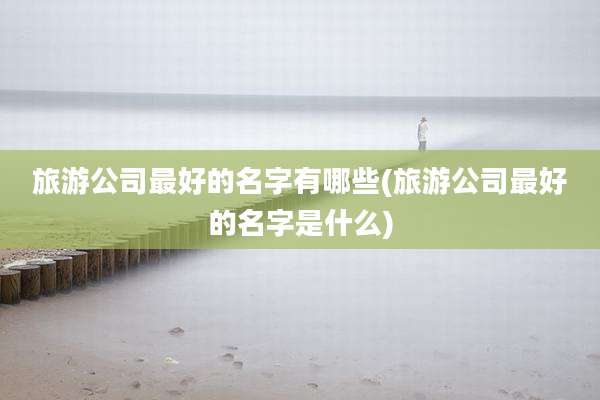 旅游公司最好的名字有哪些(旅游公司最好的名字是什么)