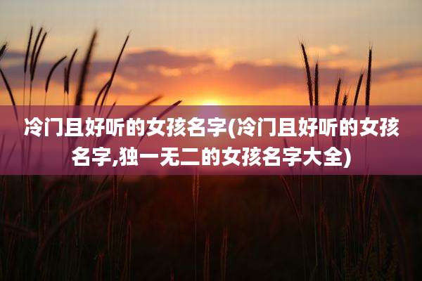 冷门且好听的女孩名字(冷门且好听的女孩名字,独一无二的女孩名字大全)