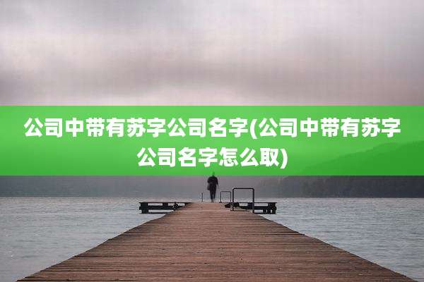 公司中带有苏字公司名字(公司中带有苏字公司名字怎么取)