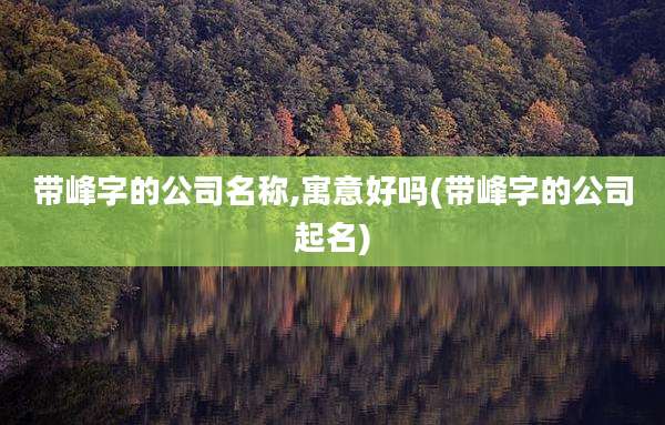 带峰字的公司名称,寓意好吗(带峰字的公司起名)