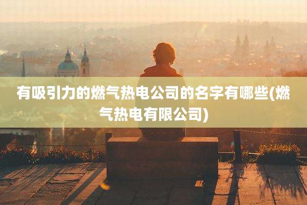 有吸引力的燃气热电公司的名字有哪些(燃气热电有限公司)