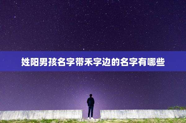 姓阳男孩名字带禾字边的名字有哪些