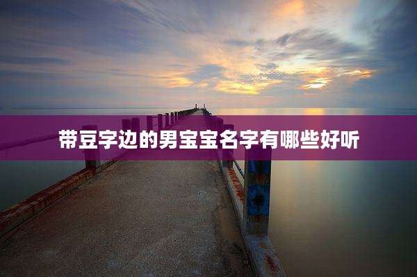 带豆字边的男宝宝名字有哪些好听