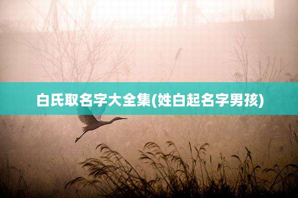 白氏取名字大全集(姓白起名字男孩)