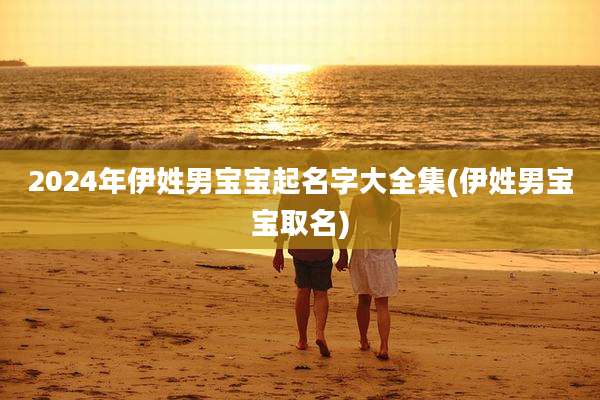 2024年伊姓男宝宝起名字大全集(伊姓男宝宝取名)