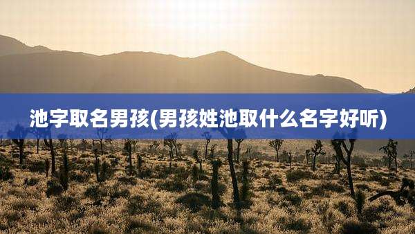 池字取名男孩(男孩姓池取什么名字好听)