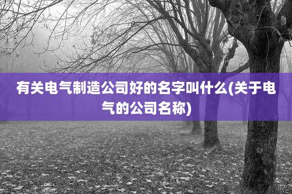 有关电气制造公司好的名字叫什么(关于电气的公司名称)