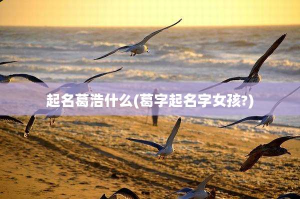 起名葛浩什么(葛字起名字女孩?)