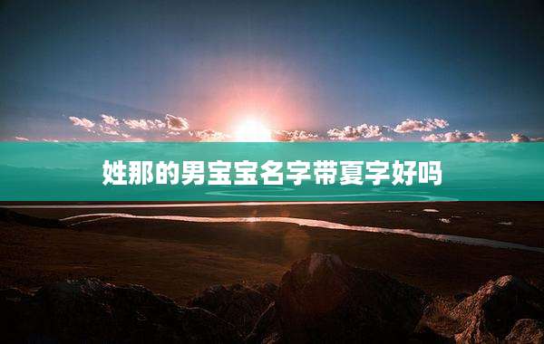 姓那的男宝宝名字带夏字好吗
