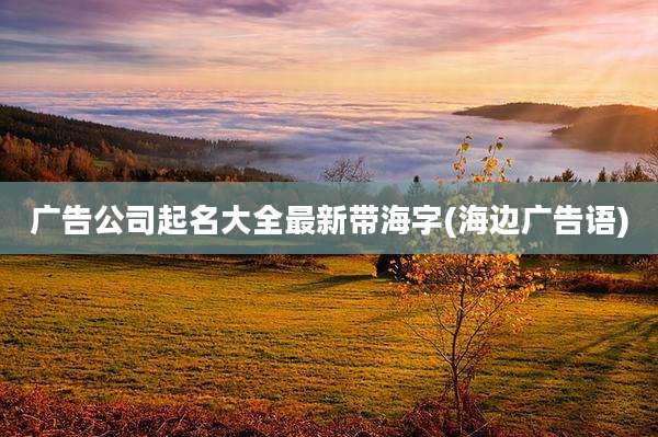广告公司起名大全最新带海字(海边广告语)