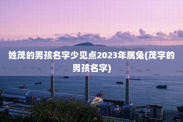 姓茂的男孩名字少见点2023年属兔(茂字的男孩名字)