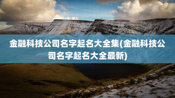 金融科技公司名字起名大全集(金融科技公司名字起名大全最新)