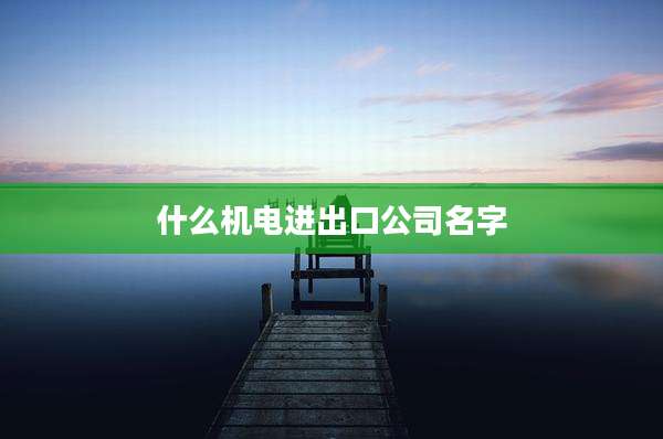 什么机电进出口公司名字