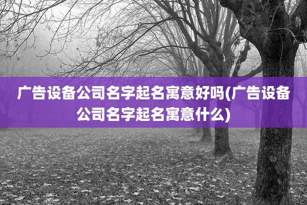 广告设备公司名字起名寓意好吗(广告设备公司名字起名寓意什么)