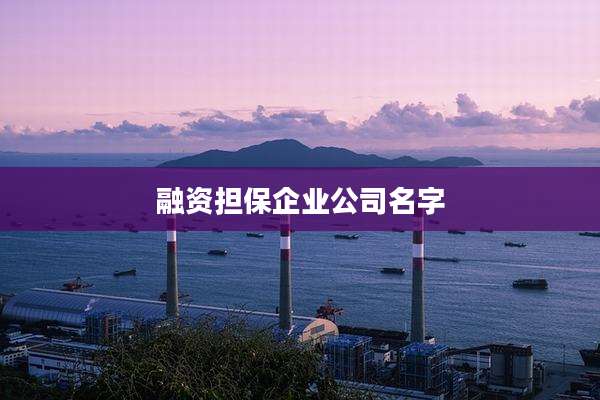 融资担保企业公司名字