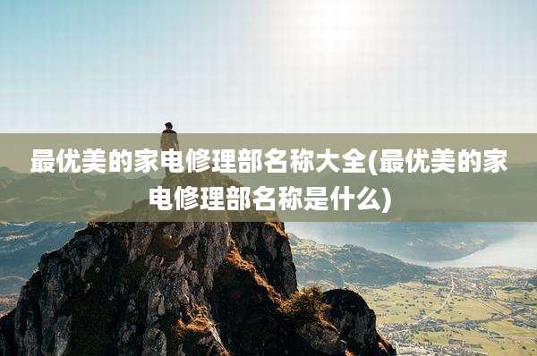 最优美的家电修理部名称大全(最优美的家电修理部名称是什么)