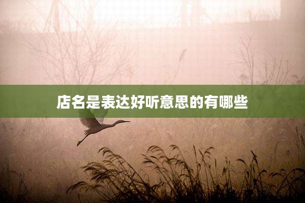 店名是表达好听意思的有哪些