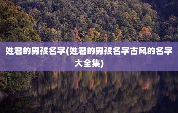 姓君的男孩名字(姓君的男孩名字古风的名字大全集)