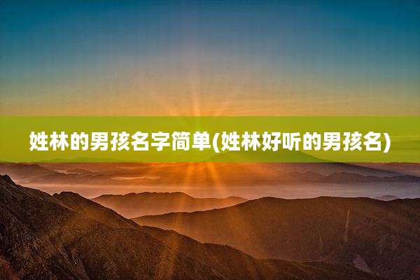 姓林的男孩名字简单(姓林好听的男孩名)