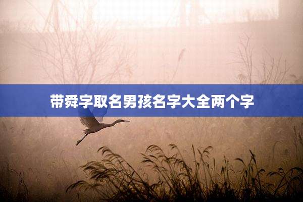 带舜字取名男孩名字大全两个字