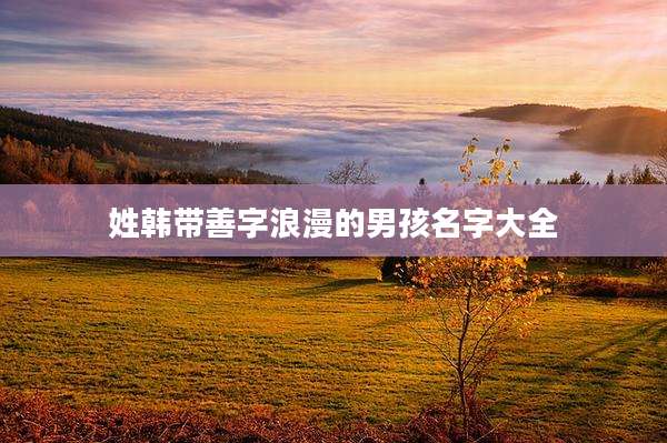 姓韩带善字浪漫的男孩名字大全