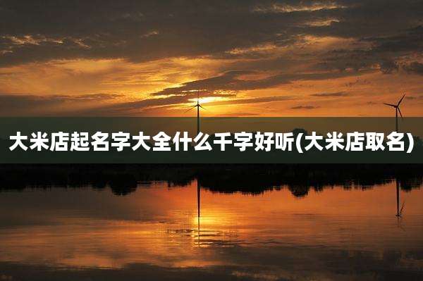 大米店起名字大全什么千字好听(大米店取名)