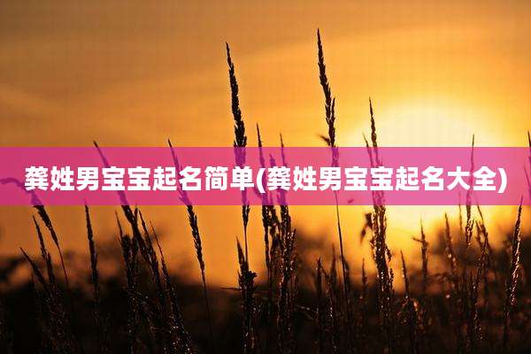 龚姓男宝宝起名简单(龚姓男宝宝起名大全)