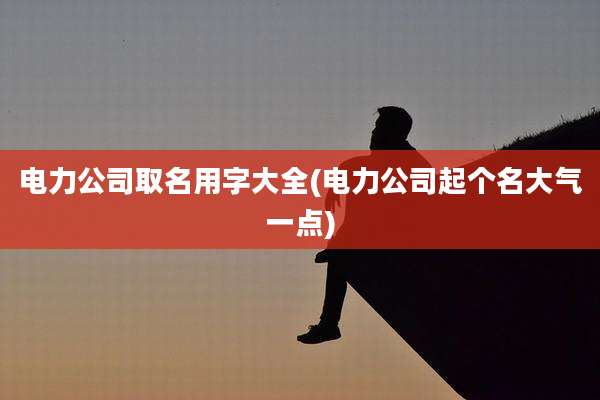 电力公司取名用字大全(电力公司起个名大气一点)
