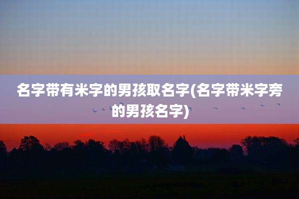 名字带有米字的男孩取名字(名字带米字旁的男孩名字)
