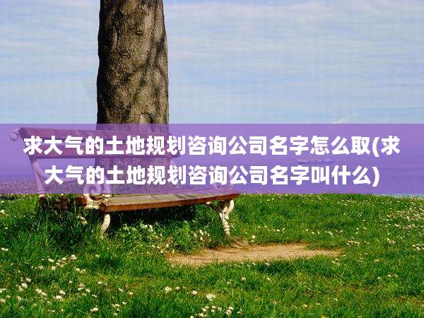 求大气的土地规划咨询公司名字怎么取(求大气的土地规划咨询公司名字叫什么)