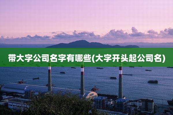 带大字公司名字有哪些(大字开头起公司名)