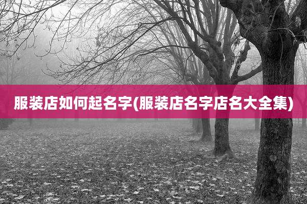 服装店如何起名字(服装店名字店名大全集)