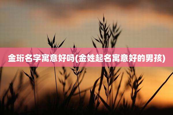 金珩名字寓意好吗(金姓起名寓意好的男孩)