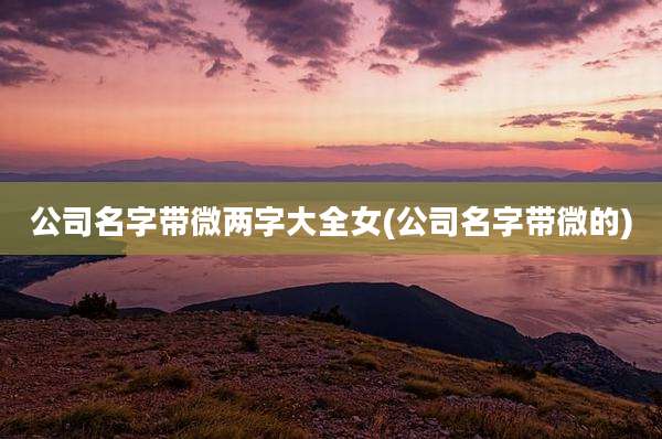 公司名字带微两字大全女(公司名字带微的)