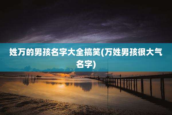 姓万的男孩名字大全搞笑(万姓男孩很大气名字)