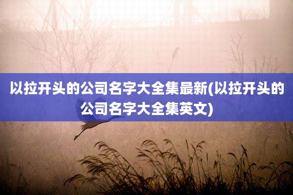 以拉开头的公司名字大全集最新(以拉开头的公司名字大全集英文)