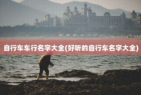 自行车车行名字大全(好听的自行车名字大全)