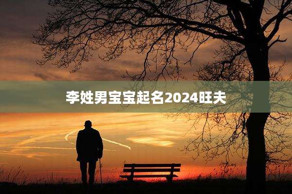 李姓男宝宝起名2024旺夫