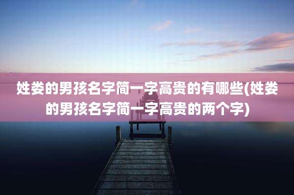姓娄的男孩名字简一字高贵的有哪些(姓娄的男孩名字简一字高贵的两个字)