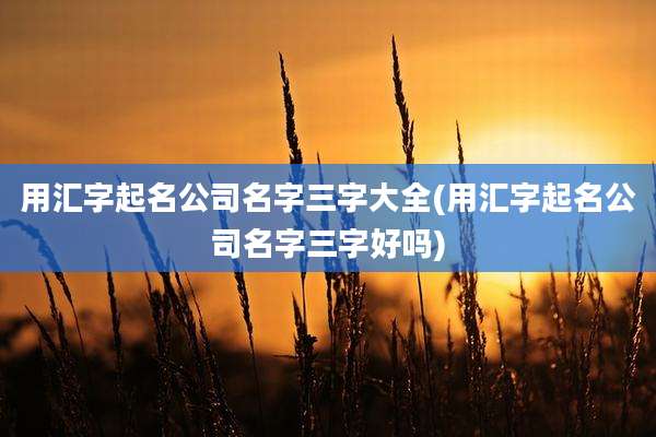 用汇字起名公司名字三字大全(用汇字起名公司名字三字好吗)