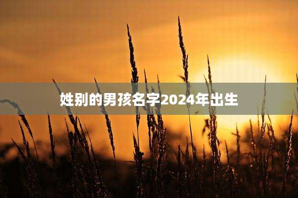 姓别的男孩名字2024年出生